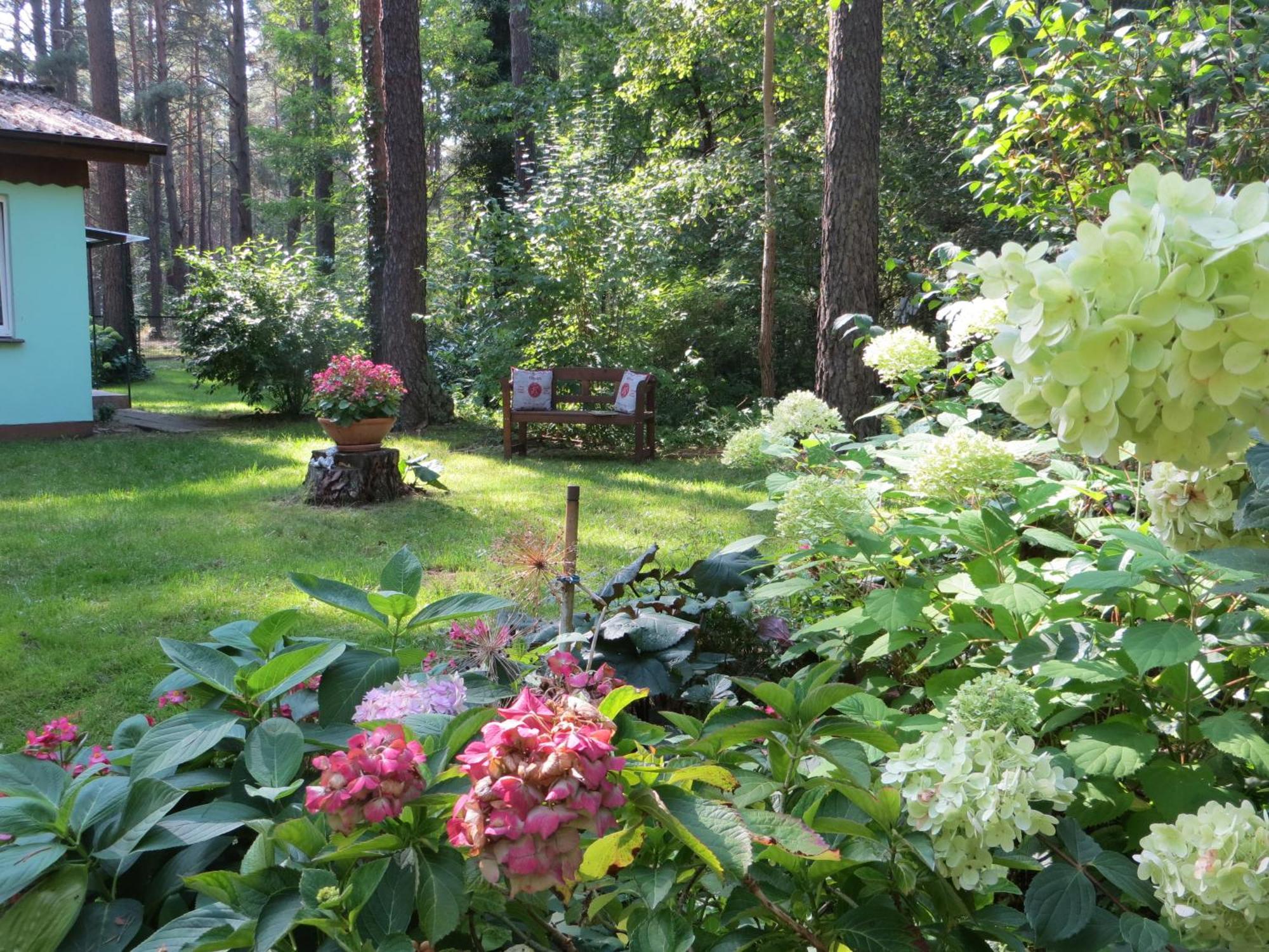Kastavengrund - Ferienhaeuser Mit Kamin Lychen Ngoại thất bức ảnh
